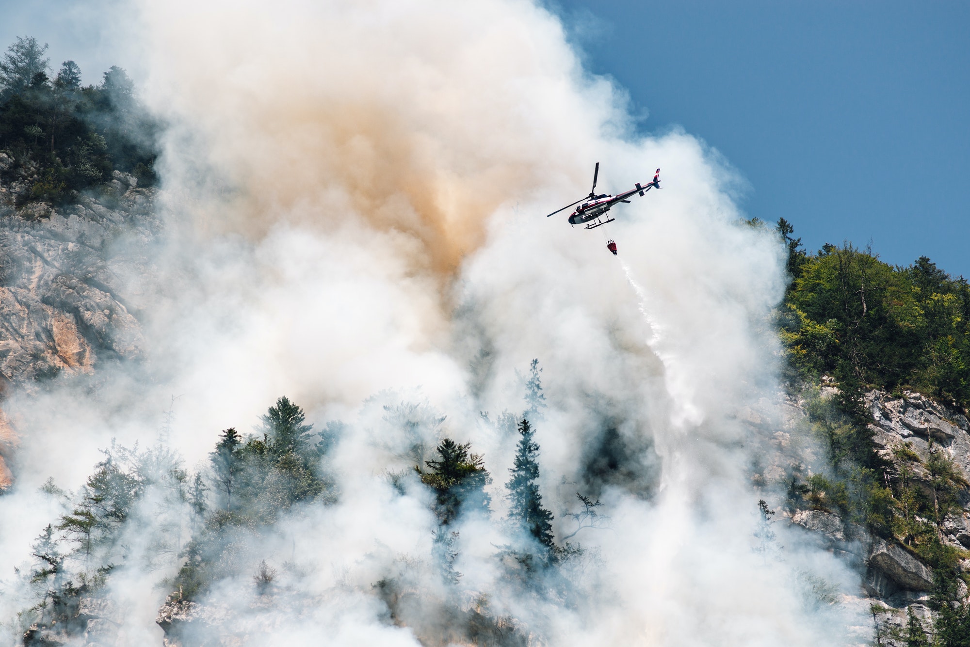 extinguishing a forest fire