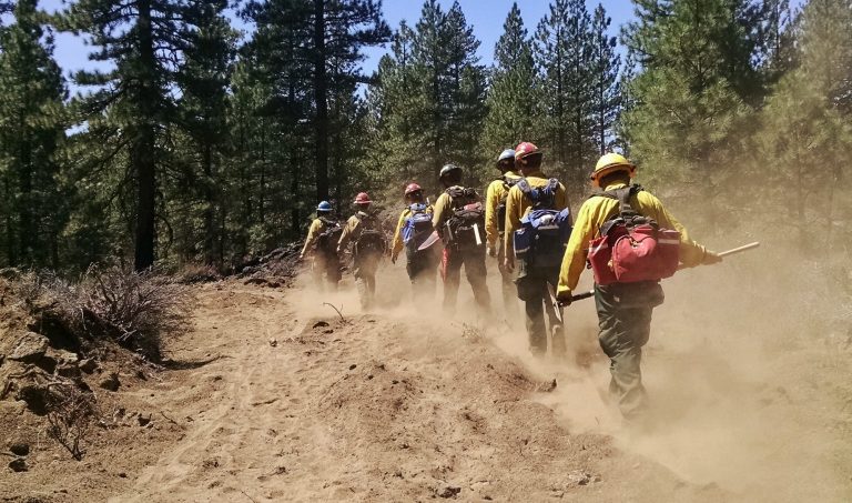 Wildland firefighters hand crew walking through the dust and soot to fight fire.