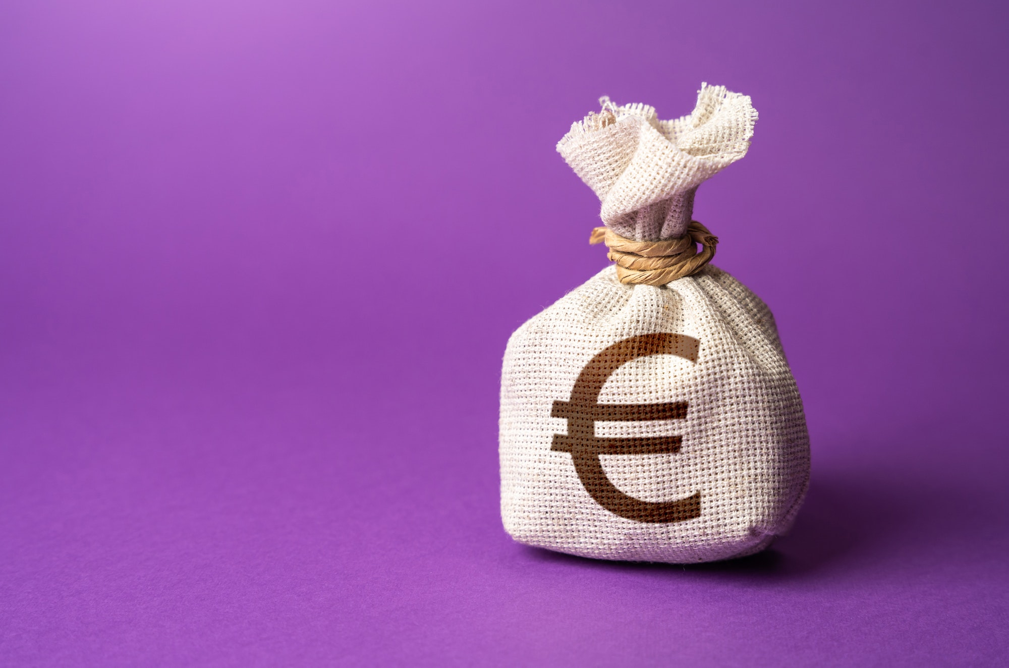 Euro money bag. Deposits and savings. Loans and credits, mortgage.